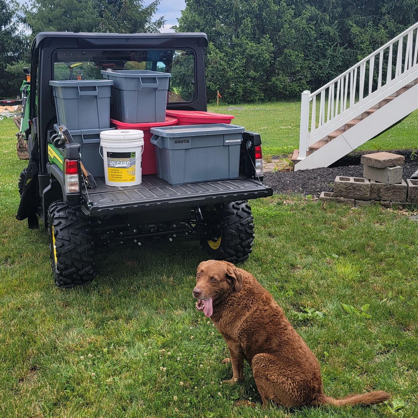 A loaded Gator hauling maintenance supplies, with a Chesapeake Bay Retriever keeping watch